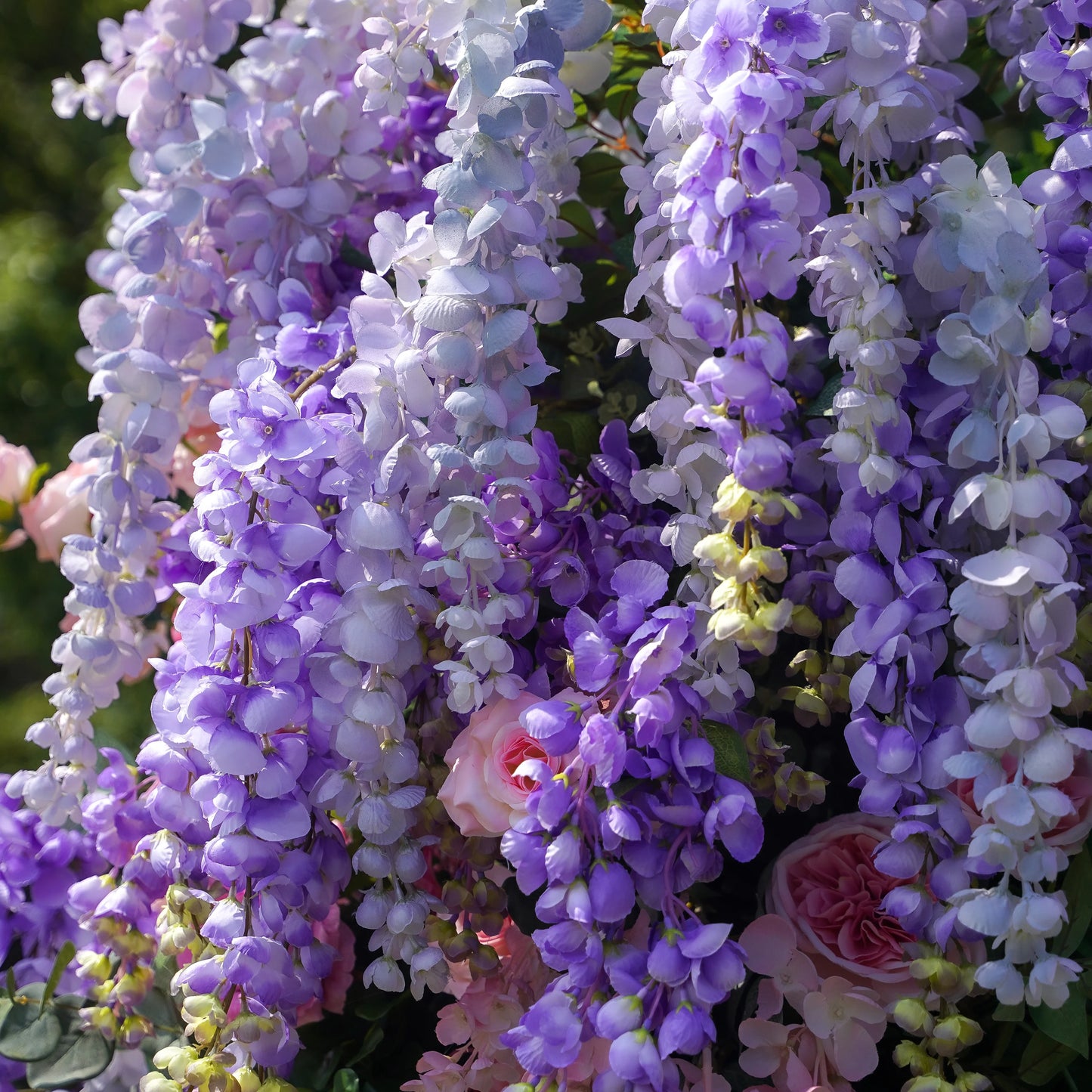 WISTERIA- FLOWER COLUMNS